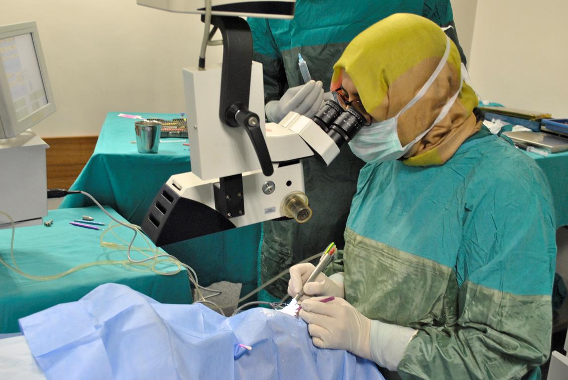 ????????????????????????????????????